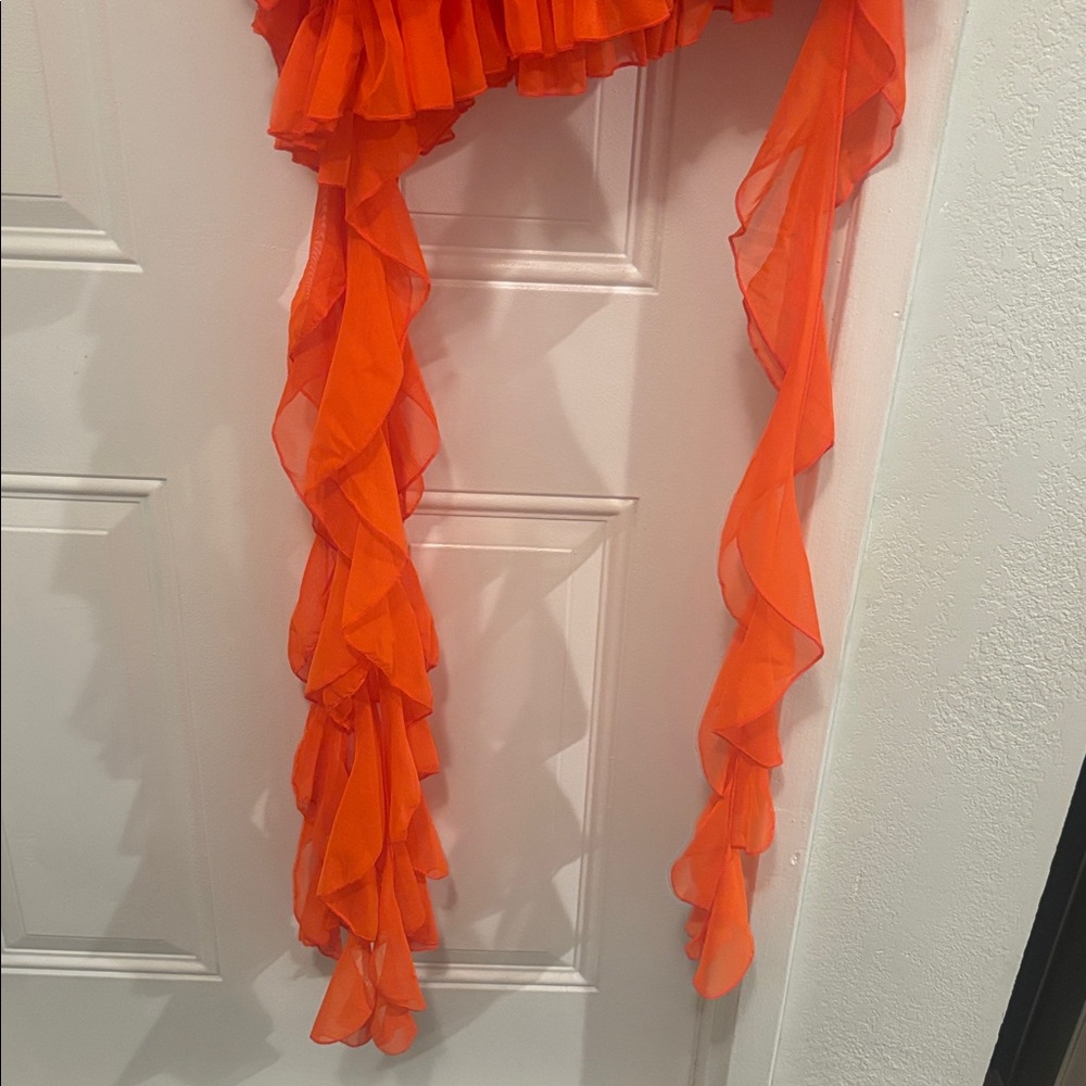 Fashion Nova Ruffled Orange Dress - Needs Work - Picture 8 of 8